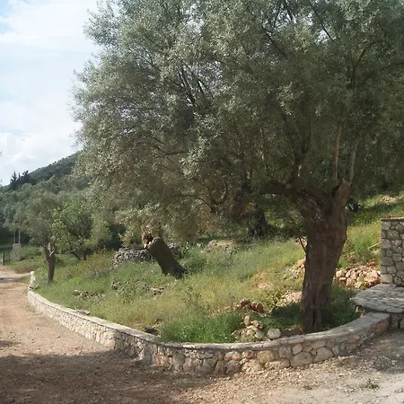 Agkalia *